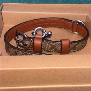 Coach Dog Bone Collar in Khaki Saddle Signature